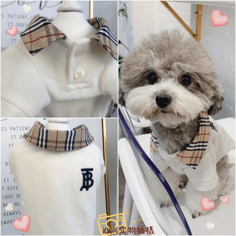 2020 激安 芸能人愛用Burberry 猫服 ペット散歩用