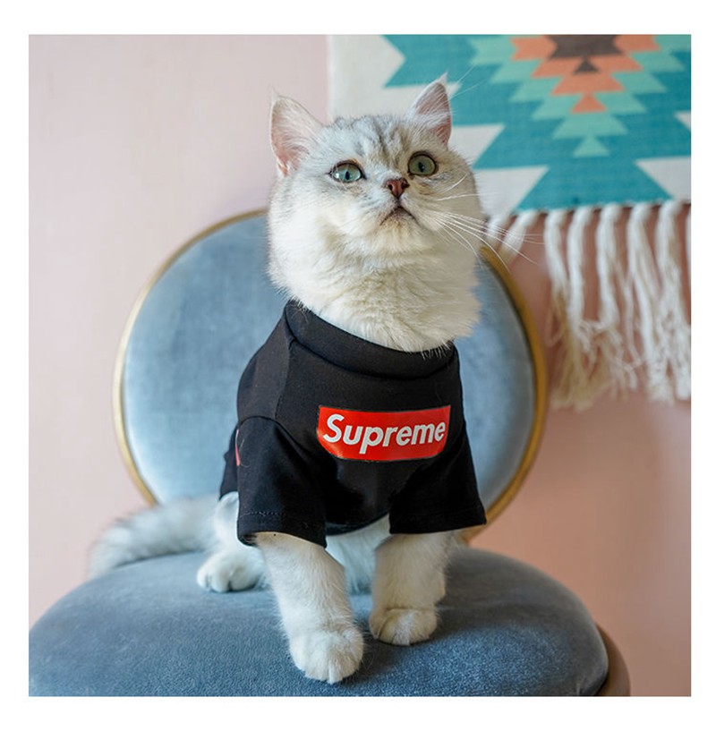Supreme 犬猫服 Tシャツ 洋服 ブランド ドッグウェア ボックス