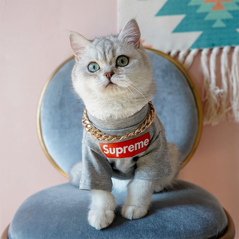 Supreme ペット服 猫服 ペット 用品 ペットTシャツ パーカー ブランド