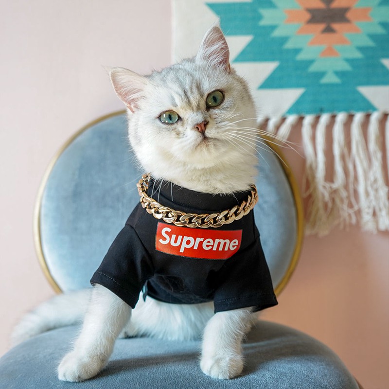 Supreme 犬猫服 Tシャツ 洋服 ブランド ドッグウェア ボックス シュプリーム ペット服