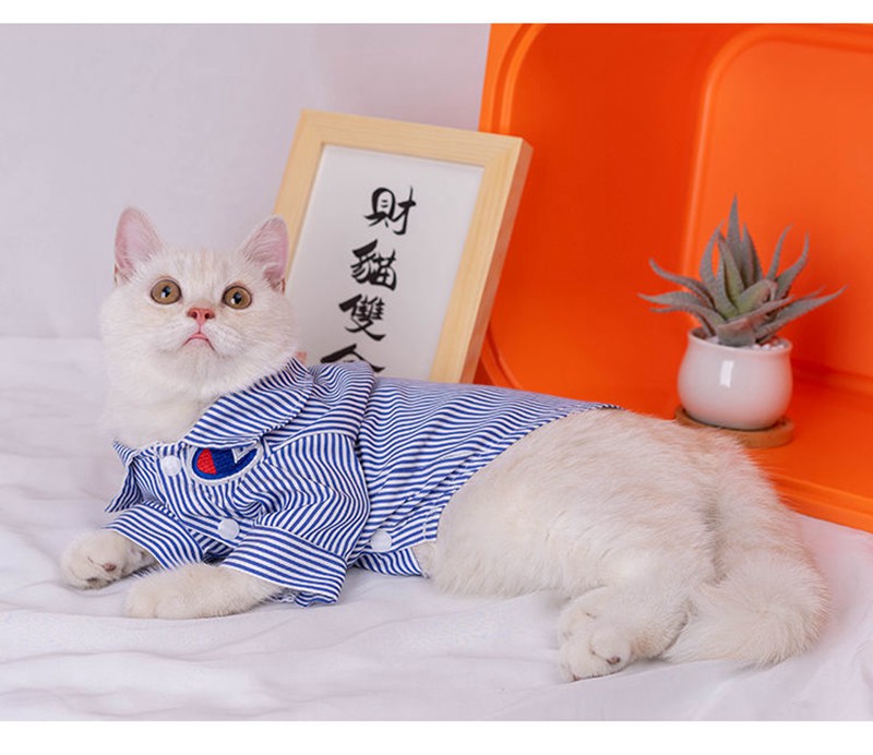 Champion 犬服 薄手 犬のＴシャツ チャンピオン 猫服 ペットウェア ブランドシンプル ハンサム小型犬