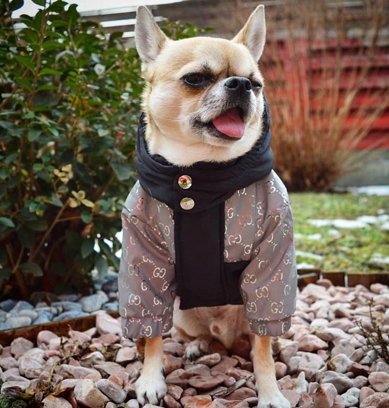 Ggブランドドッグウェア犬の冬服ペットオーバー防寒お散歩お出掛け服 