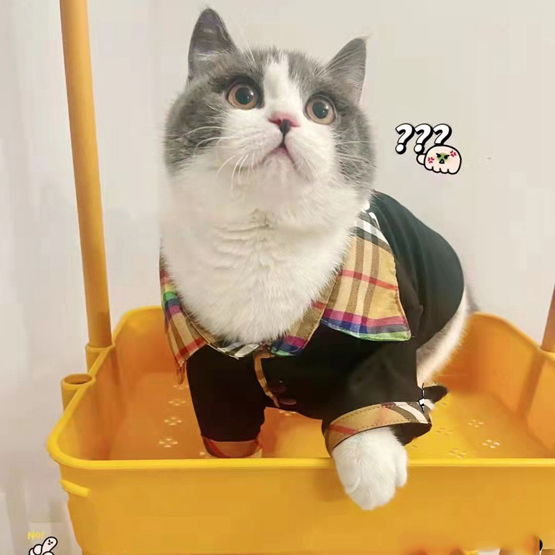  Burberry 猫ドレス 洋服 かわいい 猫ウェア ドッグ服