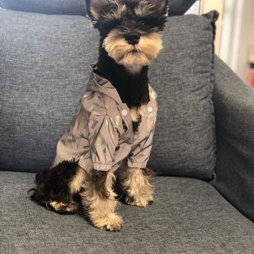 フェンディ ペット防水服 ドッグウェア 犬服 Fendi モンスター ネコウェア ウィンドブレーカー かわいい 犬猫洋服 おでかけ コート犬服 ブランド 通販 おしゃれ コピー 