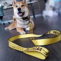 OFF-WHITE 犬用リード ハーネス 首輪 ペット 5点セット 犬のお散歩グッズ オフホワイト 首輪リード 小中大型犬に向け オシャレハーネス リード 首輪  胴輪 ペット牽引縄 牽引ロープ  