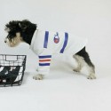 チャンピオン 猫服 ペット用品 防寒 フワフワコート 犬用 小中型犬服 ブランド Champion パーカー ドッグウェア 春秋冬服 英字柄 フード付き 可愛い 柔らかい 犬服 ペット服 Tシャツ脱毛保護 お散歩 お出かけ ファッション 