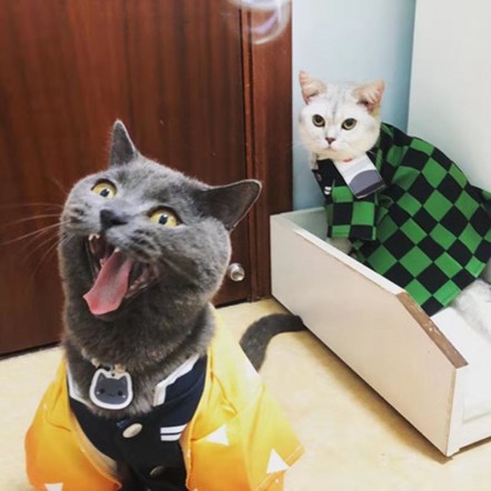 鬼滅の刃 ペット服 コスプレ 犬猫服 き...