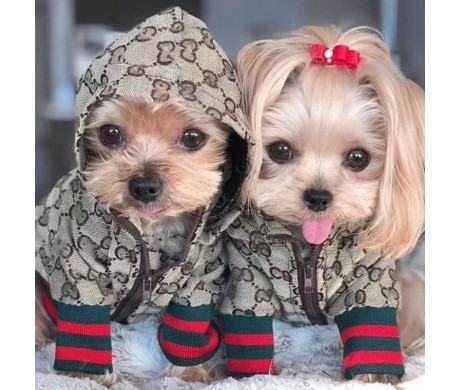 グッチ犬服 着心地よい フェンディペット用ベッド モンクレール大人パーカー