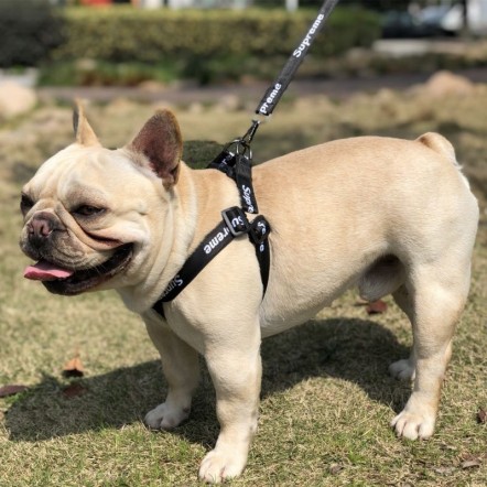 シュプリーム 犬ハーネス 牽引縄 マーク...