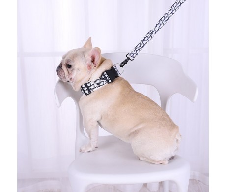 4チャンピオン ペット服 Dior犬用リード 首輪セット紹介
