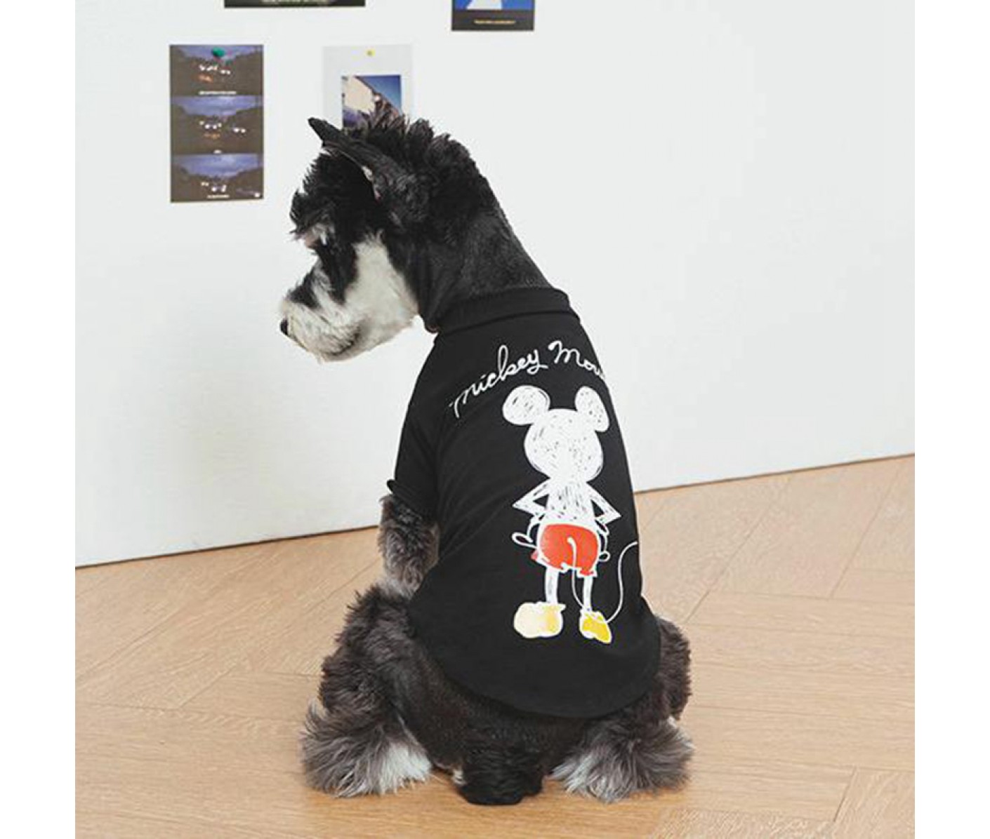 ブランド Dior リード ハーネス 犬 グッズ ディズニーミッキー付きペット服