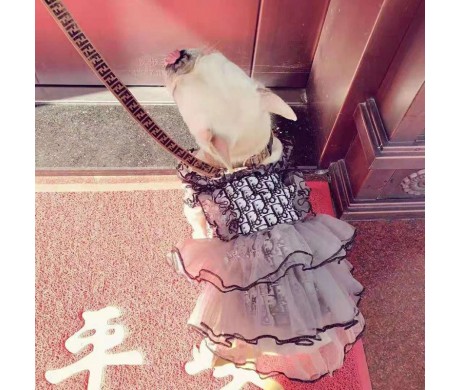 ブランドディオール バーバリーペット服 激安 プラダ犬用牽引ロープセット