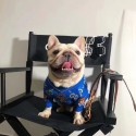 gg ブランド ペットウェア 犬の服 かわいい 犬 カーディガン 暖かい 快適 猫の秋冬服 元気な熊柄 ペット セーター 柔らかい 抜け毛防止 着脱簡単 お散歩お出かけ ペット服