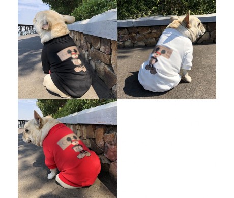 グッチ ブランド シャネル 犬猫 服と Dior ペット用品