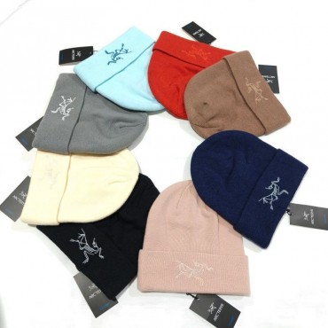 ハイブランドアークテリクス ニット帽 ニ...