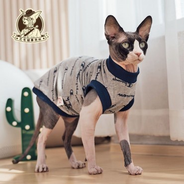 Champion チャンピオン ハイブラ...