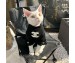 シャネルシュプリーム犬服 ル...