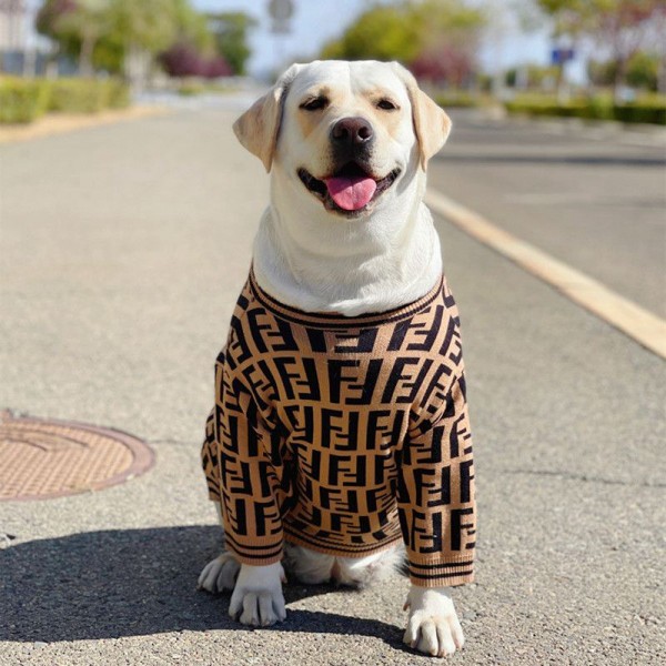 Dior ディオール Fendi フェンディ ドッグ猫パーカーペット洋服パロディブランド犬服ペットウェア お散歩 お出かけ 犬ウェアブランド 小型犬 パピーブランド犬用洋服パロディペット服秋冬暖かい