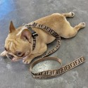 Fendi フェンディブランド犬用首輪ハーネスハイブランド猫用リードパロディブランドペット首輪ハーネスセット通気性犬用リード耐久性 ファッション