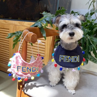 Fendi フェンディ ハイブランド犬猫...