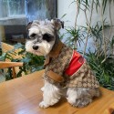 GG ブランド 犬服 ペットウェア お散歩 お出かけ 犬ウェアブランド 小型犬 パピーブランド犬用洋服パロディハイブランド犬の服かわいいブランド猫服ペット用服 トイプードル チワワ ダックス