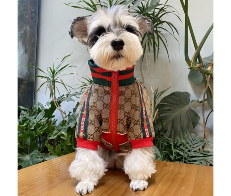グッチ犬の冬服 フェンディペット用牽引ロープ FENDIブランドヘアアクセサリー
