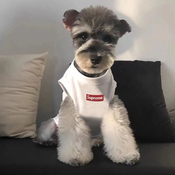 ブランド シュプリーム ドッグ猫用Tシャツ Supreme ペット洋服 犬服パロディブランド 犬用洋服パロディ犬ウェア 激安 パロディ ブランド猫服 ペット用服  トイプードル チワワ  ダックス 快適 ファッション