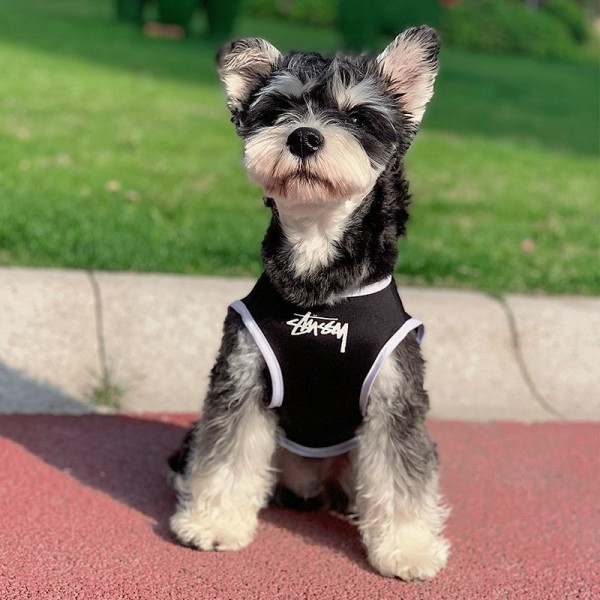 ステューシーブランドペット用服 激安 ブランド Stussy 犬用tシャツ 通気性 ハイブランド犬の服 かわいい ブランド猫服 ペット服  春夏の服 トイプードル チワワ ダックス 