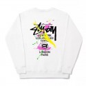 ブランド Stussy ステューシー子供服 スウェット 裏起毛 ブランド キッズ 秋冬服パーカーボーイ 服 コピー トレーナースウェットパーカー100～160cm 