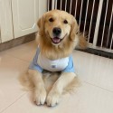 ハイブランド Chanel ペット用品 犬の服 tシャツ シャネル 綿シャツ 快適 柔らかい 春秋服 ペット服 半袖 ファッション 可愛い 猫服 ブルー/ホワイト パッチワーク設計 シャネルロゴ付き 小中大型ペット適応