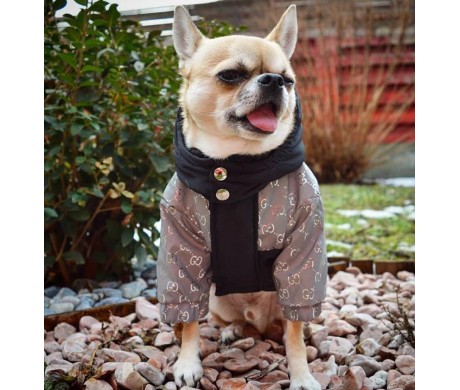 ブランド グッチ犬猫の秋冬服 と ルイヴィトン高品質ペット用首輪セット
