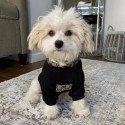 GG ブランド 犬服 ドッグウェア 春秋冬服 柔らかい パーカー gg犬 ジャケット 暖かい ペット服 カッコイイフード付き 防寒 防風 猫服 シンプル 高品質 小中大ペット型 s-xxl