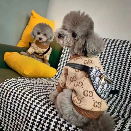 gg ブランドドッグウェア アウトレット...