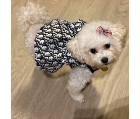 ディオールペット夏服 プラダ犬用バッグリード ルイヴィトンペット用バンダナ