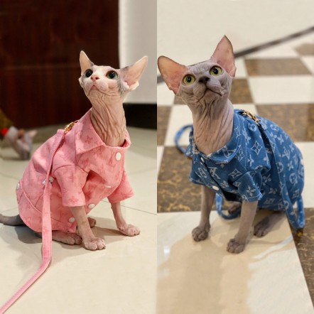 ハイブランド ルイヴィトン ペット服と牽...