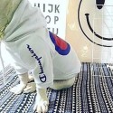 ファッション ブランド チャンピオン ペットウェア championドッグ服 犬パーカー フード付き 暖かい 春秋冬向け 裏起毛 寒さ対策 猫のシャツ 薄手 通気性高い 定番ロゴ おしゃれ カッコイイ 犬服 ペットの洋服 S - XL 激安