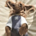 ブランドCHANEL ペット用品 秋冬 犬服 ネコの洋服 ドッグパーカー シャネル 厚手Tシャツ 暖かい 犬の防寒トレーナーシャツ ココマーク かわいい ペット服 裏起毛 防寒パーカー S,M,XXL