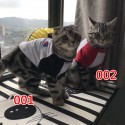 ブランドCHAMPIONペット服 犬のTシャツ ネコのパーカー チャンピオン ペット 春夏のTシャツ 通気性抜群 柔らかい かわいい 猫服 コットン ペット変身服 ドッグウェア 半袖 犬猫用洋服 お出かけ用 XS - 2XL