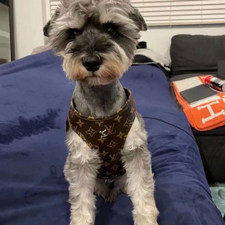 ハイブランドルイヴィトンペット犬ハーネス...