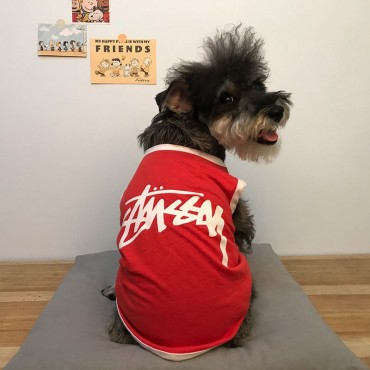 STUSSY ブランド ペットウェア 犬服 tシャツ ベスト ステューシーペット 洋服 ドッグウェア 無袖シャツ 猫犬服 ペット服 ロゴtシャツ 可愛い T-シャツ 猫服 かわいい 親子服 ロゴ入れ ファッション 通気性抜群 ソフト 4色 S - 5XL