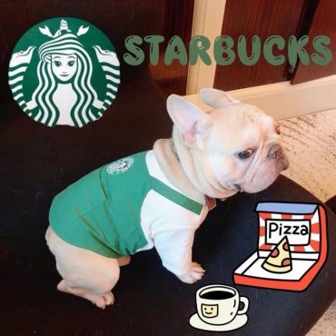 ブランド ペット服 スターバックス 犬服 tシャツ 創意設計 パロディー 猫服 おしゃれ 綿シャツ かわいい starbucks ペット洋服 コスプレ 伸縮性 動きやすい S - 3XL