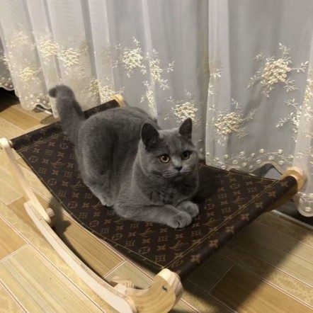 ブランド ルイヴィトン ペット用品 猫寝...