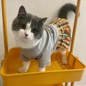 ブランド バーバリー ペット服 犬服 ワンピース Burberry 猫ドレス 洋服 かわいい 猫ウェア ドッグ服 薄手 スカート 通気性 春夏向け 犬ウェア 半袖シャツ S~2XL