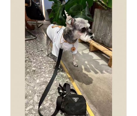 プラダ 首輪 リード バーバリー ペット服 シュプリーム ブランド 猫犬 キャリーバッグ 食器