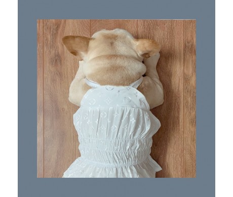 ペット用品専門店をおすすめ！ ルイヴィトン 犬用品 夏のベスト シャネル 可愛い ペット洋服