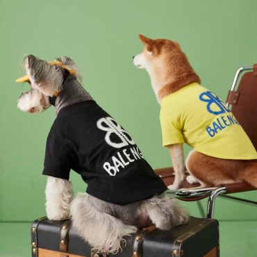 Balenciaga 犬服 tシャツ ブランド バレンシア 犬洋服 柔らかい ドッグウェア ボックス ペット服 ロゴtシャツ T-シャツ 半袖 猫服 ストレート系 S~2XL 