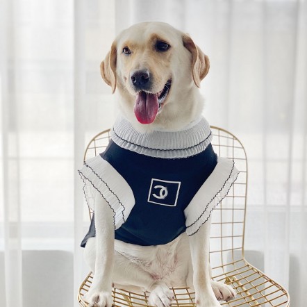 Chanel 犬服 大型犬服 tシャツ ...
