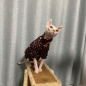 ブランド lv/ヴィトン 猫ウェア ｔシャツ 半袖シャツ 激安 ルイヴィトンペット用品 人気モノグラム 贅沢 涼しい 通気性ウェア 無毛猫 スフィンクスの服 冷房対策 エアコン服 保護 子犬の服 猫ちゃんの春夏シャツ XS~3XL