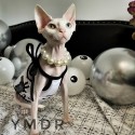 ブランド Chanel ペット服 猫ウェア 夏のベスト シャネル クール ひんやりチョッキ ベスト 猫ちゃん 夏服 薄手 涼しい  熱中症対策 暑さ対策グッズ 日焼き防ぐ お出かけ お散歩  小中型犬用 猫用 XS S M