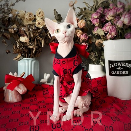 ハイブランド ペット 猫服 ワンピース ...